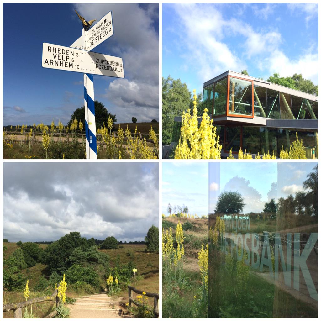 Wat een heerlijke dag #veldwerk op de #Posbank met <a href="/mirjamenzerink/">Mirjam Enzerink</a>