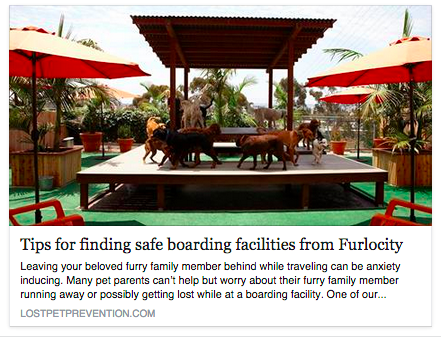 PetHub's tweet photo. Expert tips for finding safe boarding facilities from @Furlocity #PREVENTLOSTPETS
http://t.co/2GPK2qOr1J http://t.co/jmfWiUwtwA