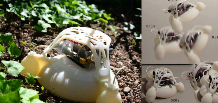 3DPrint_com's tweet photo. Researchers Create a 3D Printed Robot that Jumps Six Times Its Own Height http://t.co/YNztMrqzUd http://t.co/p3zsFMq8fa