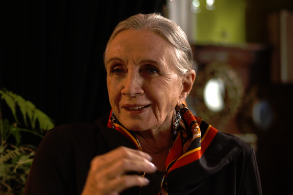 TeleseriesCL's tweet photo. Se fue una grande: Falleció la destacada Peggy Cordero http://t.co/LDehvDYclQ