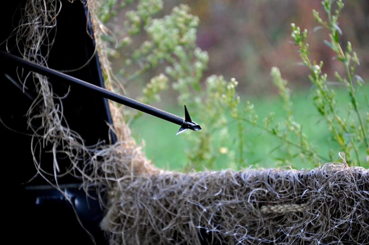 Ramcat Broadheads tweet media