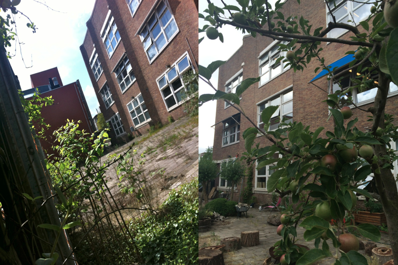 Anita Groenink tweet media