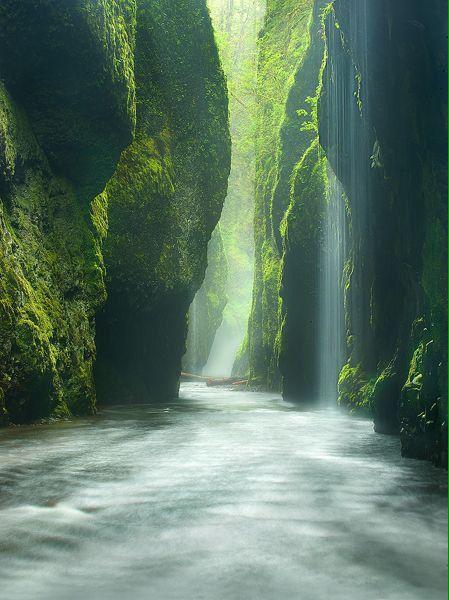 TheEarthsFinest's tweet photo. Rainforest Canyon, Oregon http://t.co/itxQ22rHWc