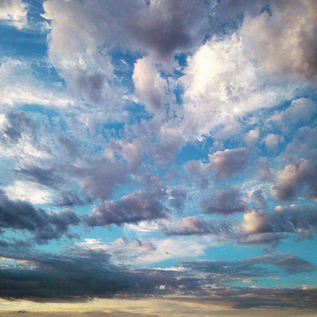 Swiss_Robin's tweet photo. Who doesn't love a good cloud shot? #sky #blue #clouds #latergram #arizona #summer http://t.co/yJS78csxo9