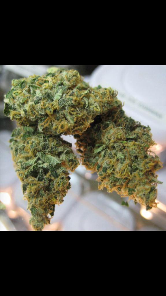 PotPornv's tweet photo. super skunk. http://t.co/6yXKMJ74QL