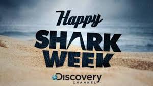 MohawkMoving's tweet image. 