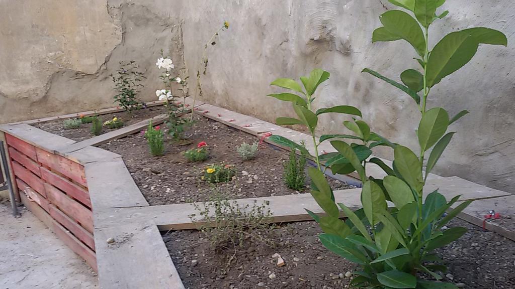 assocprosec's tweet photo. Avui hem fet el servei a la comunitat del programa Reincorpora de @FundlaCaixa arreglant i replantant #ElPatiObert http://t.co/t02zRB7phr