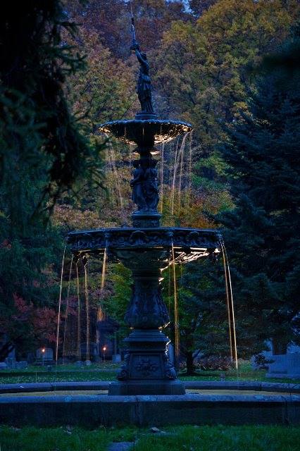Mount Hope Cemetery tweet media