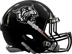 PrepsNow's tweet photo. East Chapel Hill likely to name Ryan Johnson new football coach http://t.co/2YPTfmD1P2 #PAC6 #HSnotebook http://t.co/6sKLjsmUcg