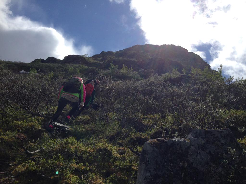 SummitGeiranger tweet picture