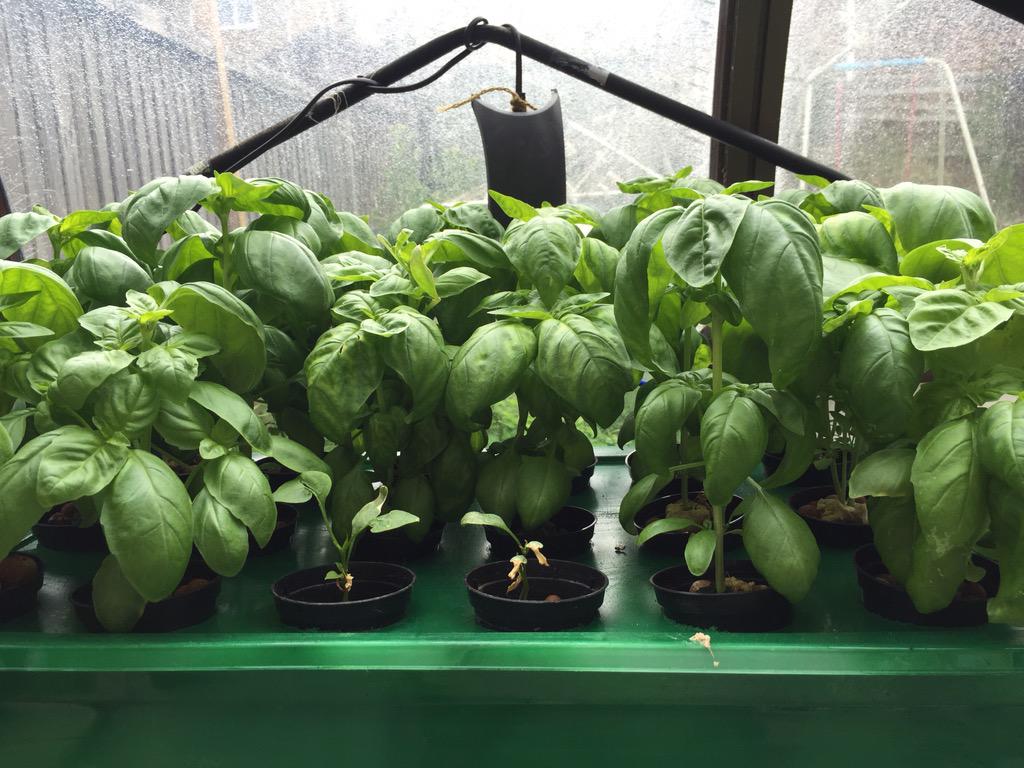 Liquid Farms tweet media