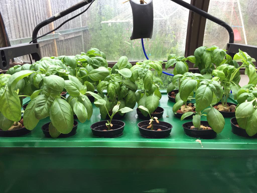 Liquid Farms tweet media