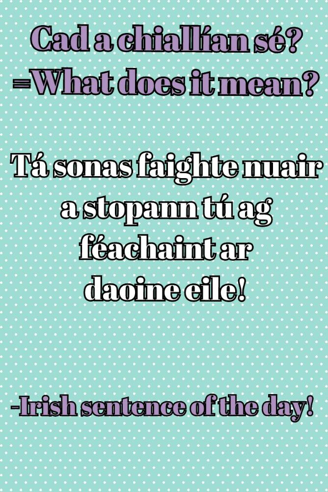 TheSingingLady2's tweet photo. Irish sentence of the day! http://t.co/9SqTG2YySP