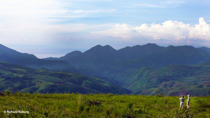 JaneGoodallInst tweet picture