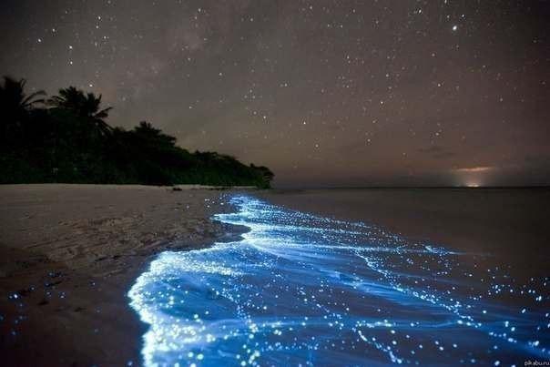 WorldInterestin's tweet photo. Светящийся планктон на пляже острова Ваадху http://t.co/4cJvv3pX4R