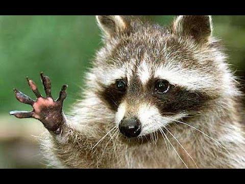 zPicture's tweet image. 