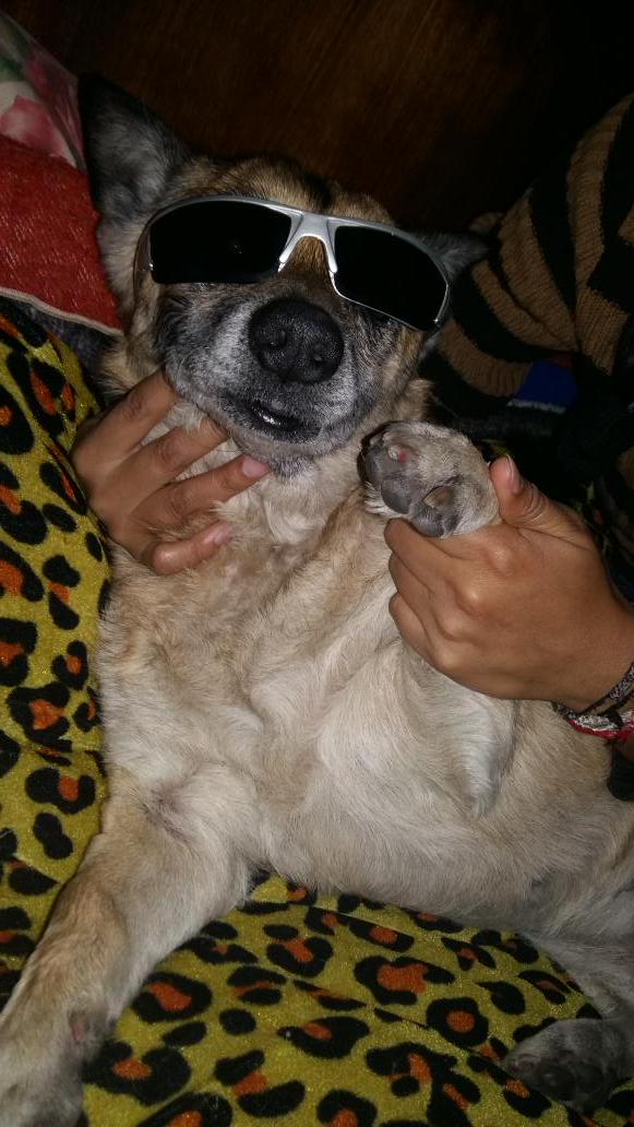 RGecuador tweet picture