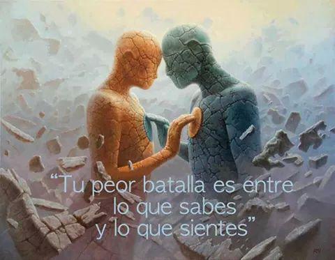 roditoolave's tweet image. 