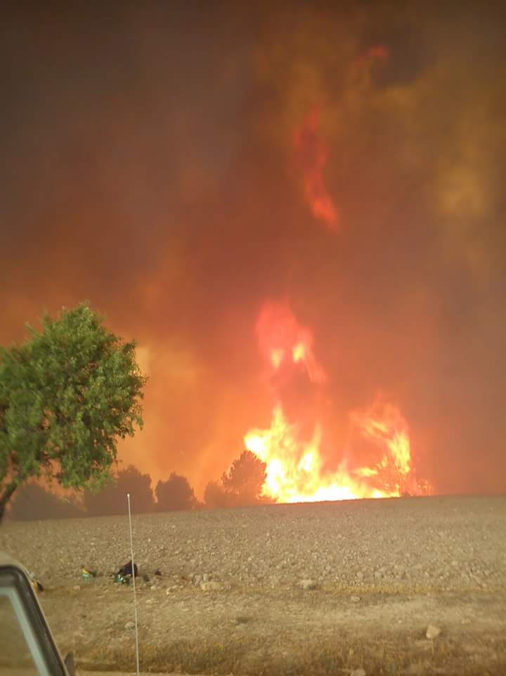 BRICAGranada's tweet photo. Lo mas parecido al infierno en la tierra #IFQuesada. Contra esto se enfrentan los bomberos forestales http://t.co/HuWKHt2fsZ