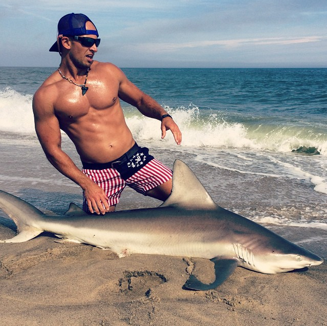 Elliot sudal acksharks aka the shark wrangler | LPSG Elliot sudal acksharks aka the shark wrangler | LPSG