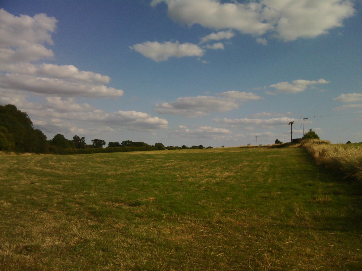 CASCADEaversion's tweet image. Warm afternoon stroll.