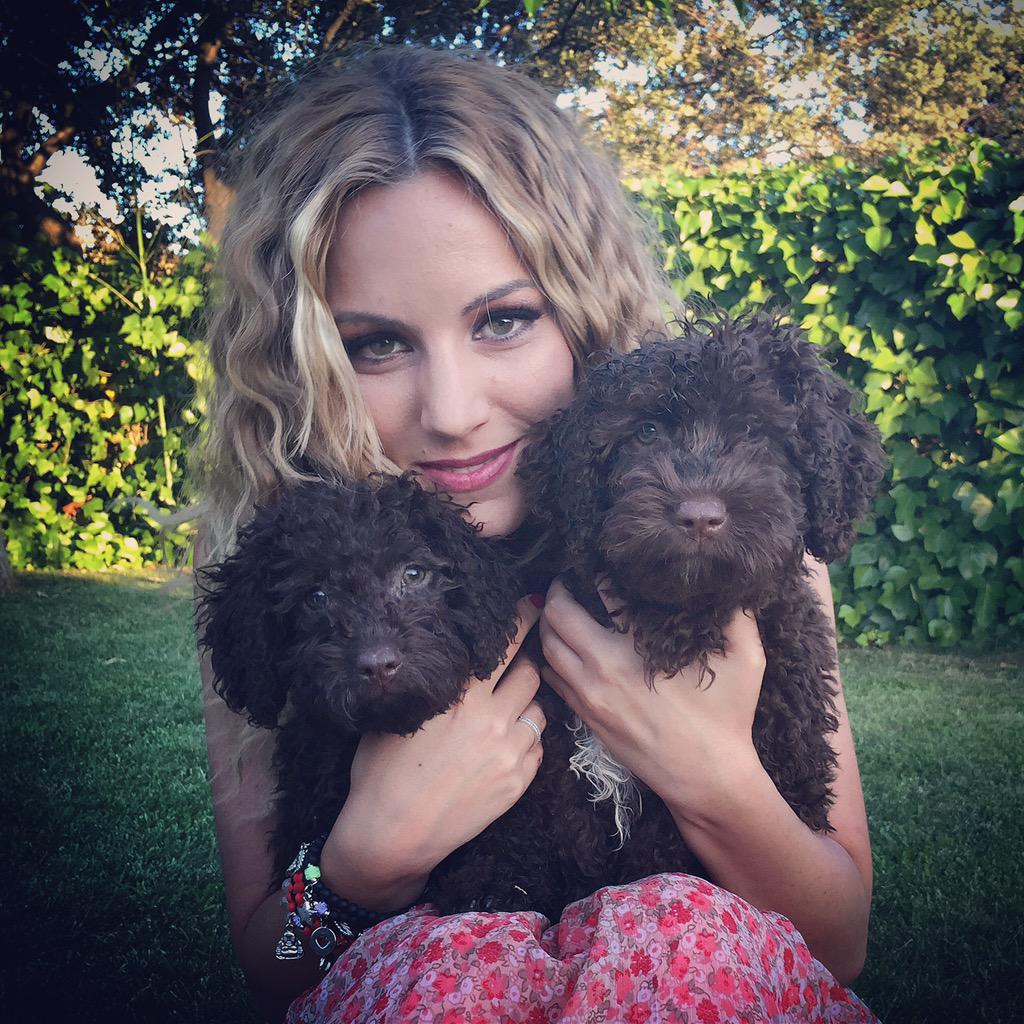 Edurnity's tweet photo. Mis pequeños trastos!!!🐶🐶💖💖💖💖 #CosayLudo #AmorPerruno http://t.co/wqXxTFrN0e