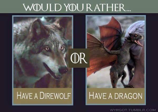 The Bastard Knight (@the_windblown) on Twitter photo 