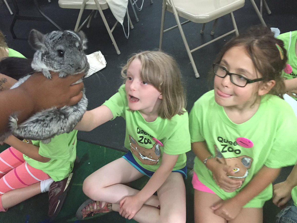 Queens Zoo Summer campers met Chica the chinchilla! #queenszoosummercamp #zooexplorers @thequeenszoo
