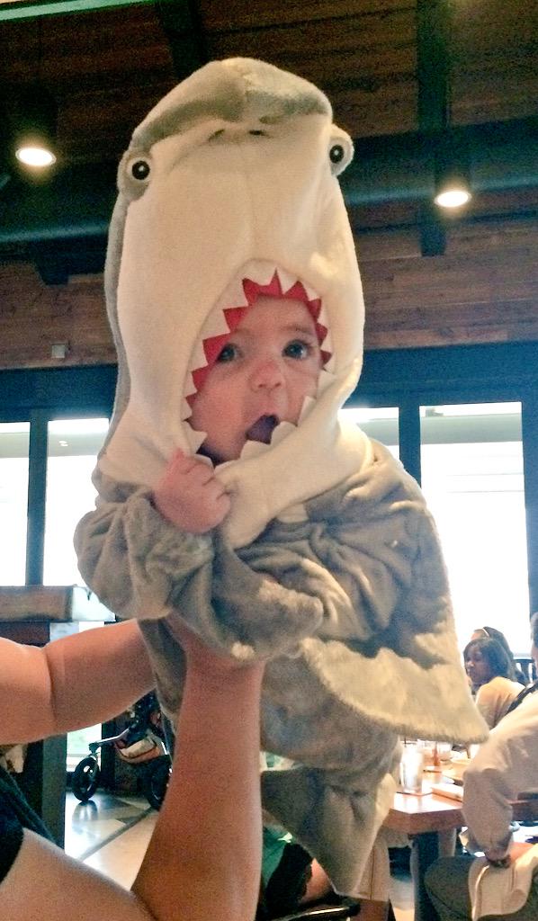 lairsteam's tweet photo. #DDSharkWeekPromo http://t.co/D97TjaXBY4