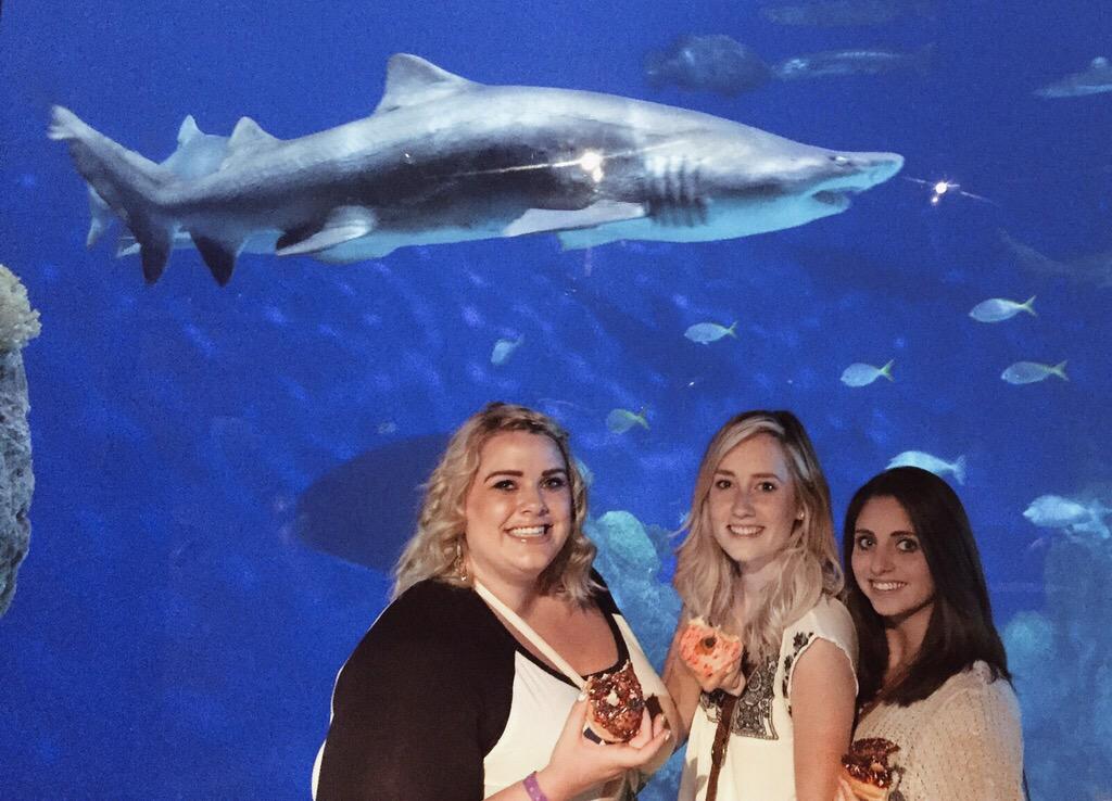 naomipkrxo's tweet photo. Live every week like it's shark week, just bring @DunkinDonuts ๐๐ #DDSharkWeekPromo http://t.co/lvxVA7fWCD