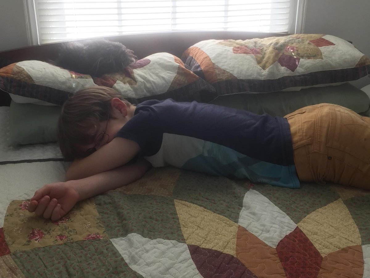 nodicalbed's tweet photo. So cute! RT @jonbonjovious: Thanks to @nodicalbed nap time is a thing again! #sleepiscoming #ad http://t.co/jDyzYPGTDU
