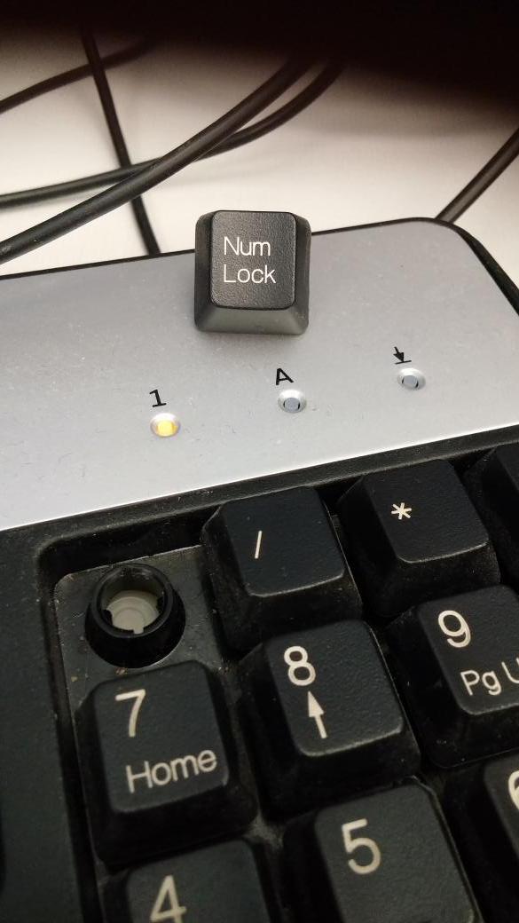 Shnaps's tweet image. And STAY LOCKED!!

#NumLock