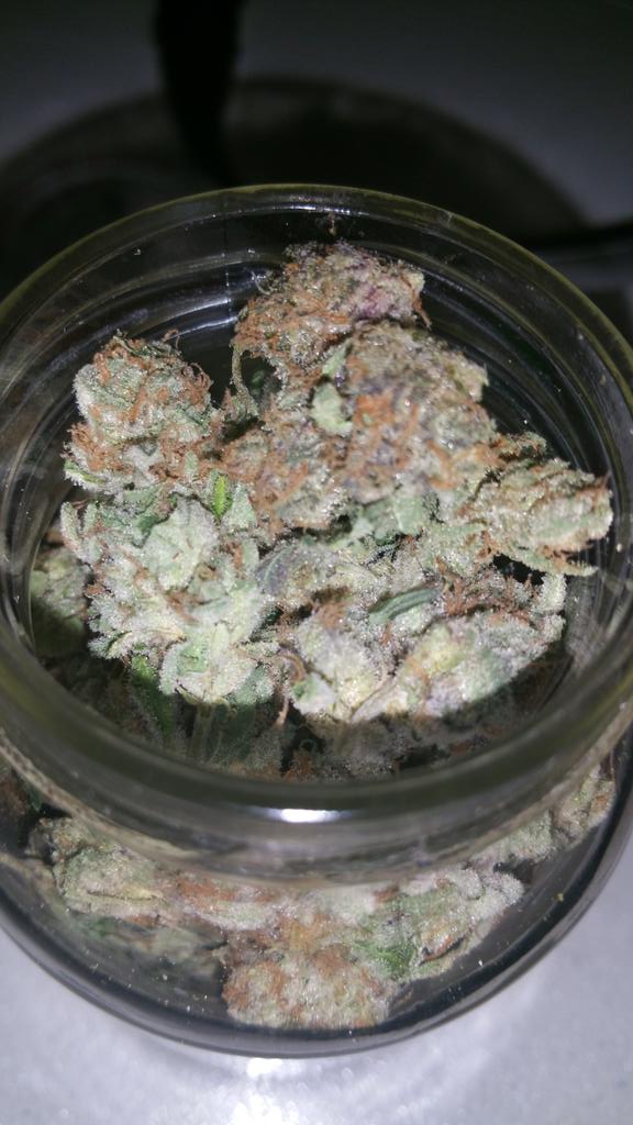 MinnMarijuana's tweet photo. A Friend With Weed Is A Friend Indeed! 
Retweet If You Have A Friend With Weed. http://t.co/q47D9glZPt
