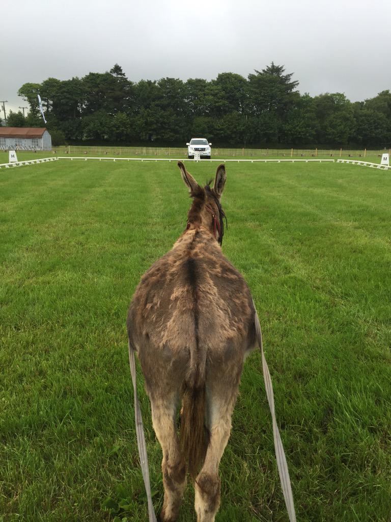 Ballindenisk tweet media