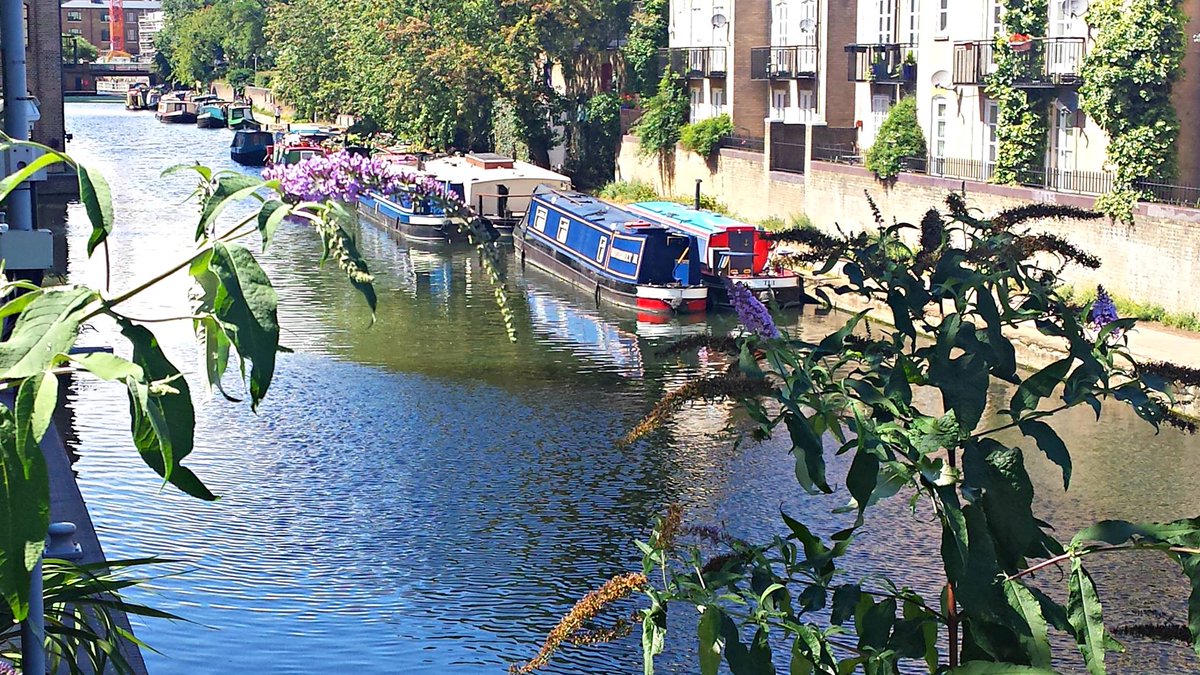 Sunny afternoon, view from the terrace <a href="/canal125/">Canal125</a>