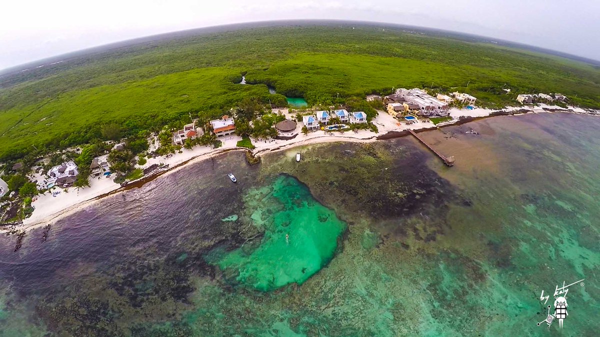 #1 of a week of JUNGLE DRONING