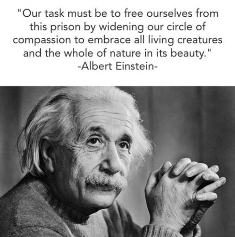 kathyfreston's tweet photo. #compassion #animals #nature #alllivingcreatures http://t.co/r9Xl56CUMJ