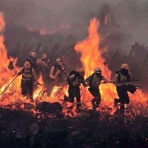 BRICAGranada's tweet photo. Este es el valor de los compañeros ante situaciones comprometidas que se dan en nuestro oficio. ANIMO #IFQuesada http://t.co/H7XAHWezz0