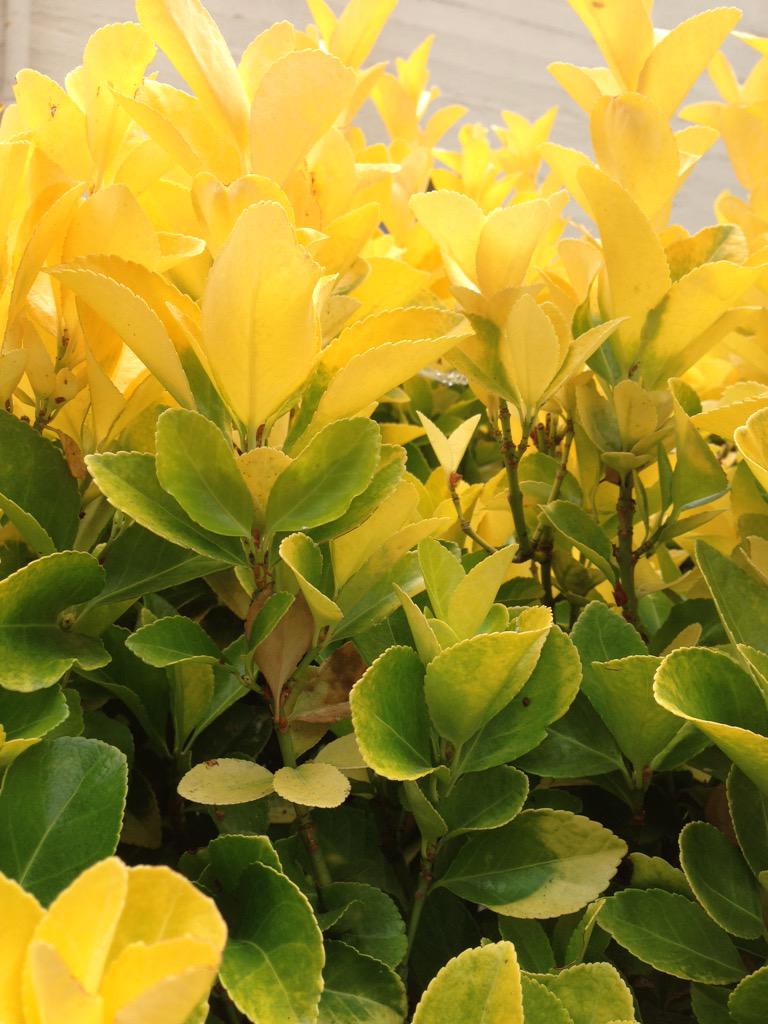 FreeTradeWorks's tweet image. #libertyis being able to choose to be your own unique color. 

#libertyconnect #berkley