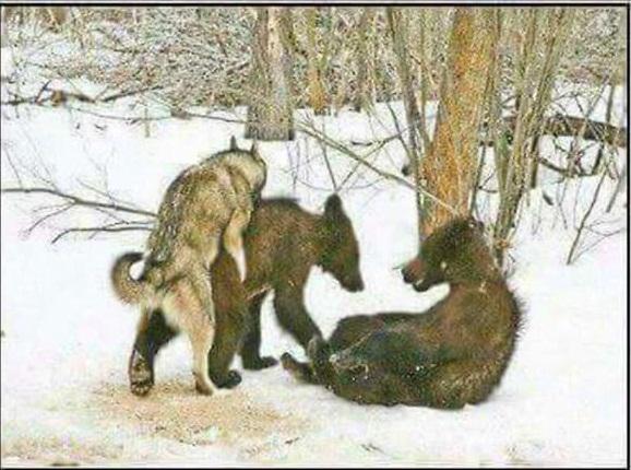 Страшно быть русским. Бойся русского. Морпех черная смерть. Страшно быть русским. Все боятся русских.