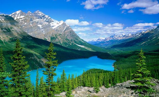 @blltmedia tweet media