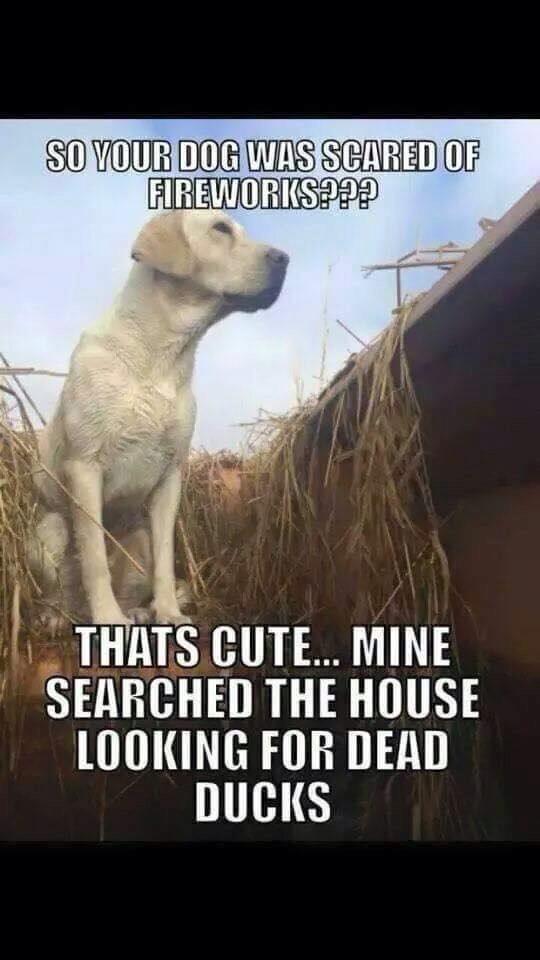 MarkWinner4's tweet image. #HCNKC