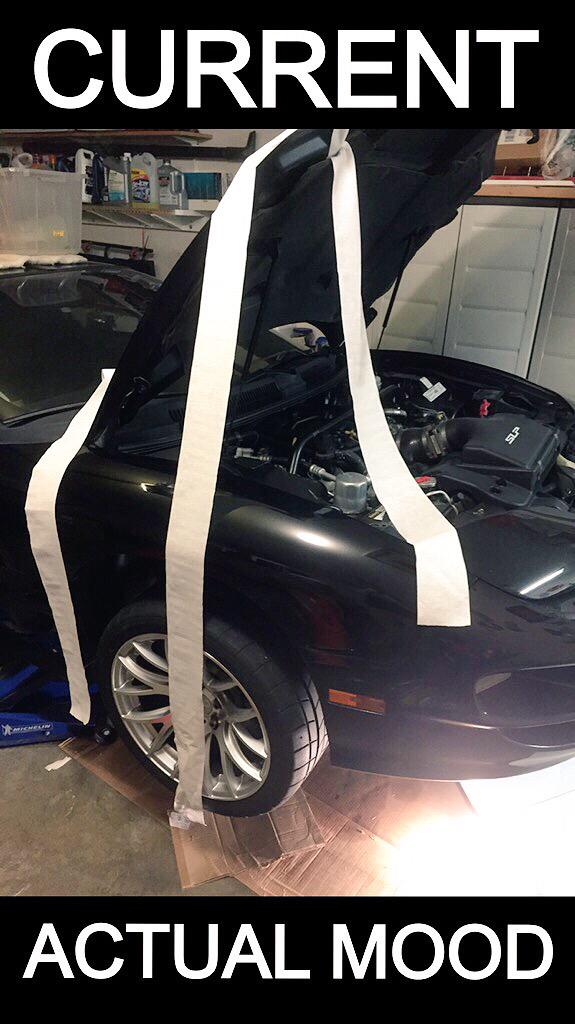 AngryTransAm's tweet image. We could be at the race track---but you act only 30% of your age... #OwnerProblems 

#AngryTransAm