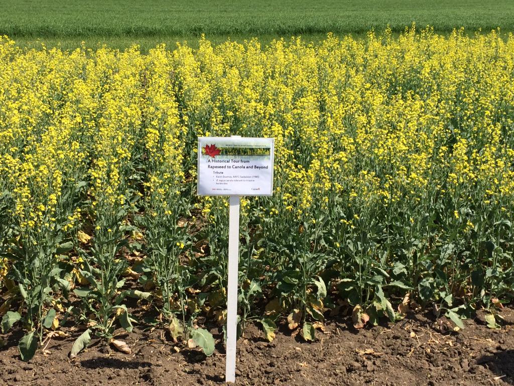 ThisFabio's tweet photo. Enjoyed #irc2015sk. Great organization and exciting conference. Thanks for inviting me to talk about #phenotyping. http://t.co/YYTU75WJWf