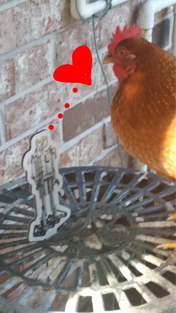 FaithTann's tweet image. Mr a Robot, meet Miss Chicken. #RoamingMrRobot @TETRIXrobotics