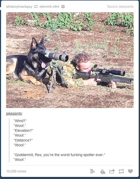 OverlyManlyMann's tweet photo. This is my kinda dog http://t.co/Q5HuvtRcFF