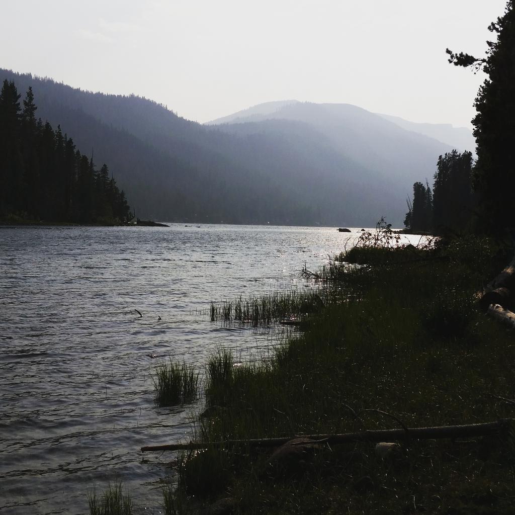 Ridenho13's tweet photo. Nothing beats a hot sunny day with some warm, wavy, and crystal clear water to jump in. Thank you lake wenatchee! http://t.co/gSwoH2vhRd