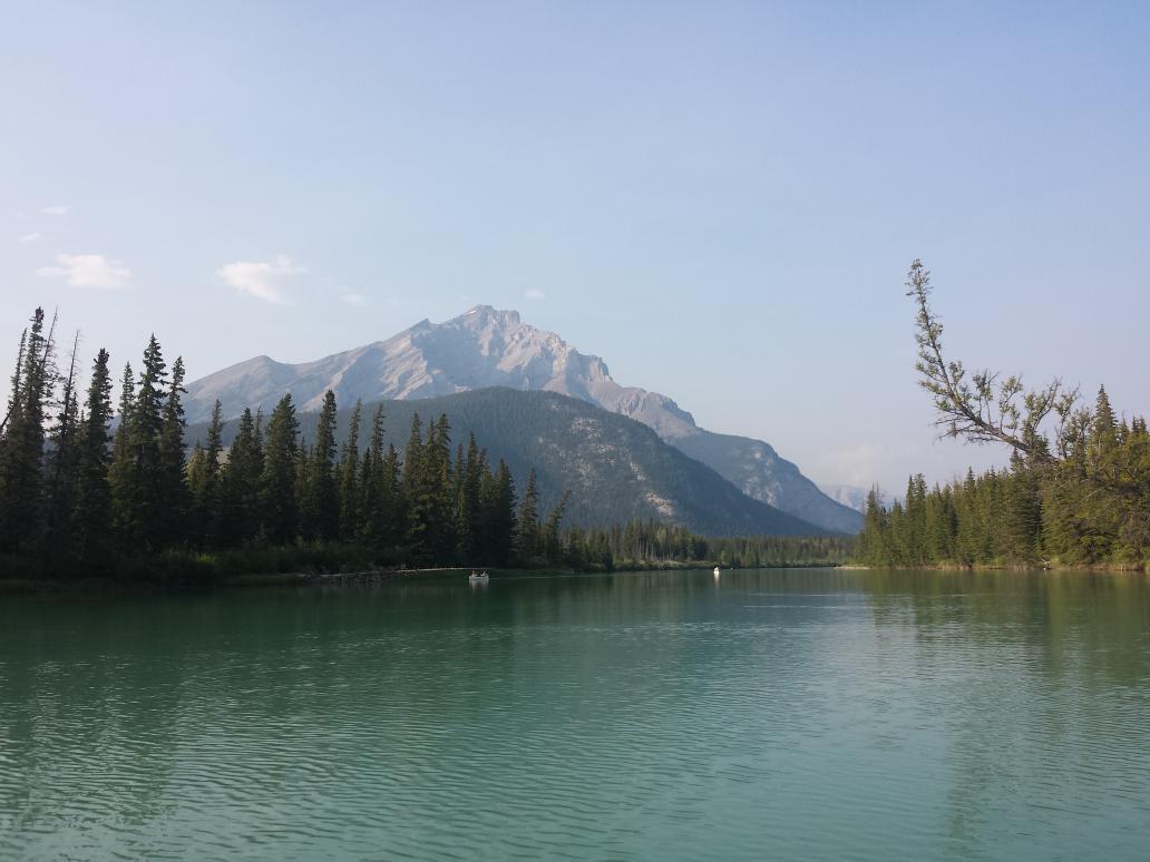 WCoastDiscover's tweet image. Paddling along the Bow River is the best way to see the mountains of #MyBanff @BanffNP @TravelAlberta @ExploreCanada