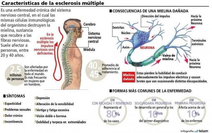 FisioterapiayS's tweet photo. La esclerosis múltiple es causada cuando las células del sistema inmune del propio cuerpo atacan al sistema nervioso. http://t.co/eO2C1qeVKb