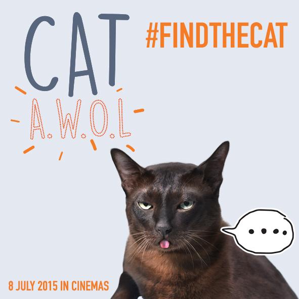 CBIpictures's tweet photo. Ada yg berhasil menemukan kartu ini di @blitzmegaplex MOI &amp; PVJ ? #CatAwol #FindTheCat #CatAwolJive http://t.co/fSrF0GKKC0